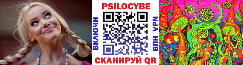 Галлюциногенные грибы Psilocybe  Казань 